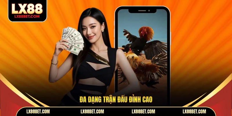 Đá Gà LX88 - Sân Chơi Trực Tuyến Hấp Dẫn Bậc Nhất 2026 - betforest96