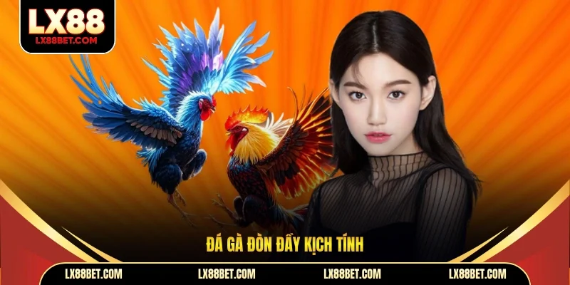 Đá Gà LX88 - Sân Chơi Trực Tuyến Hấp Dẫn Bậc Nhất 2026 - betforest96